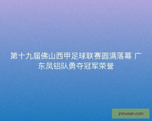 第十九届佛山西甲足球联赛圆满落幕 广东凤铝队勇夺冠军荣誉